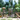 Timbertopia