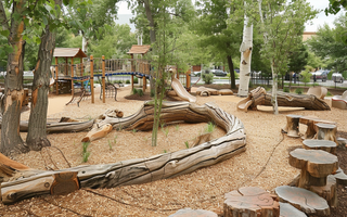 Nature-Inspired Playgrounds: Integrating Natural Elements